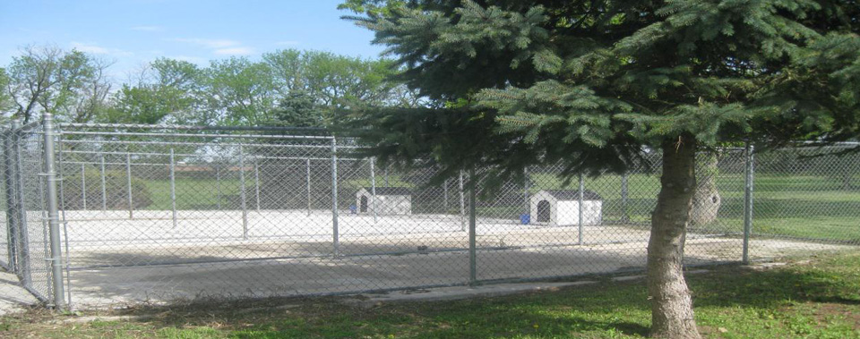 Due to our large indoor pens and outdoor runs your pet is sure to enjoy their stay.